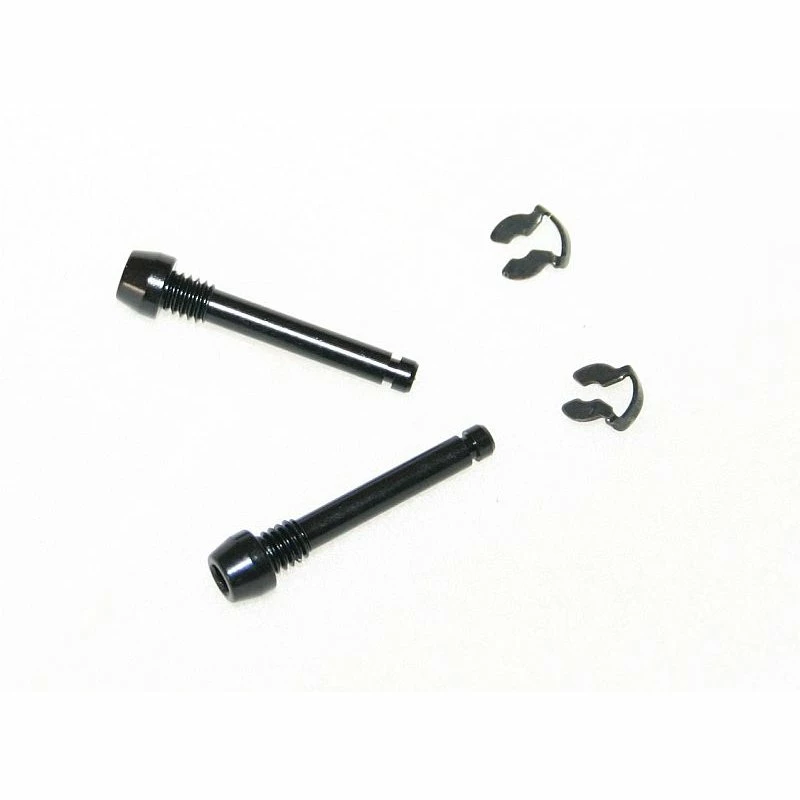 Avid, Bolzen Bremsbelag, SRAM XX, 2 Stück, Schwarz, Incl. Sicherungsring